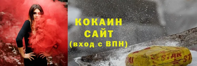 Cocaine FishScale  hydra как войти  Верея 