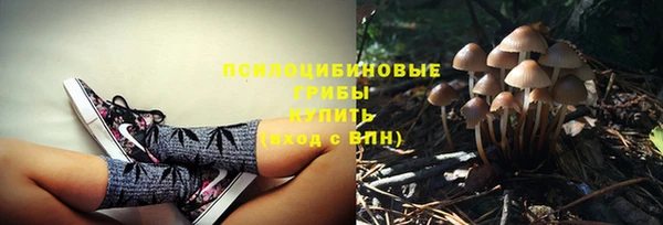 сатива Белоозёрский