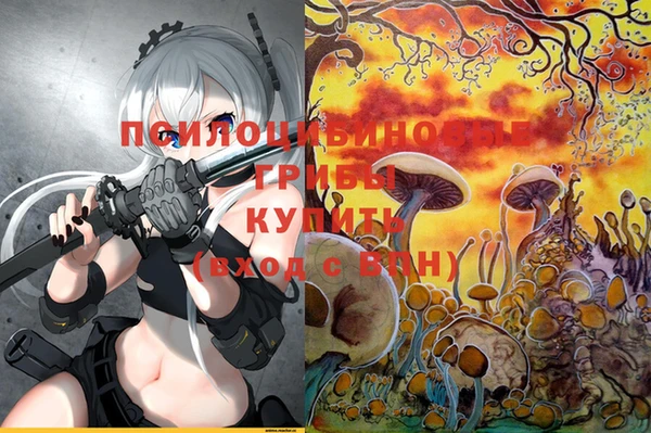 не бодяженный Белокуриха