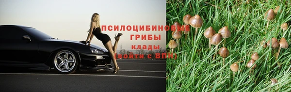 сатива Белоозёрский
