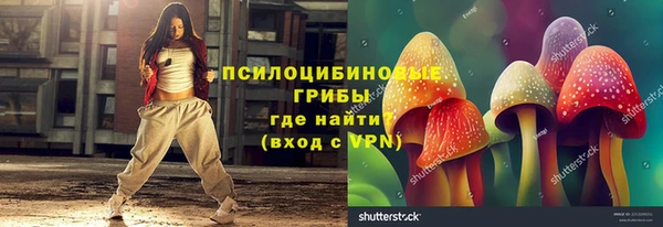 молекула духа Баксан