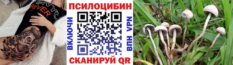 Псилоцибиновые грибы прущие грибы закладка Верея